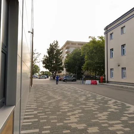 Darija 1 *